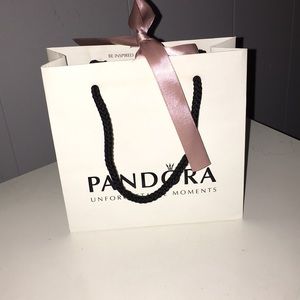 Pandora gift bag